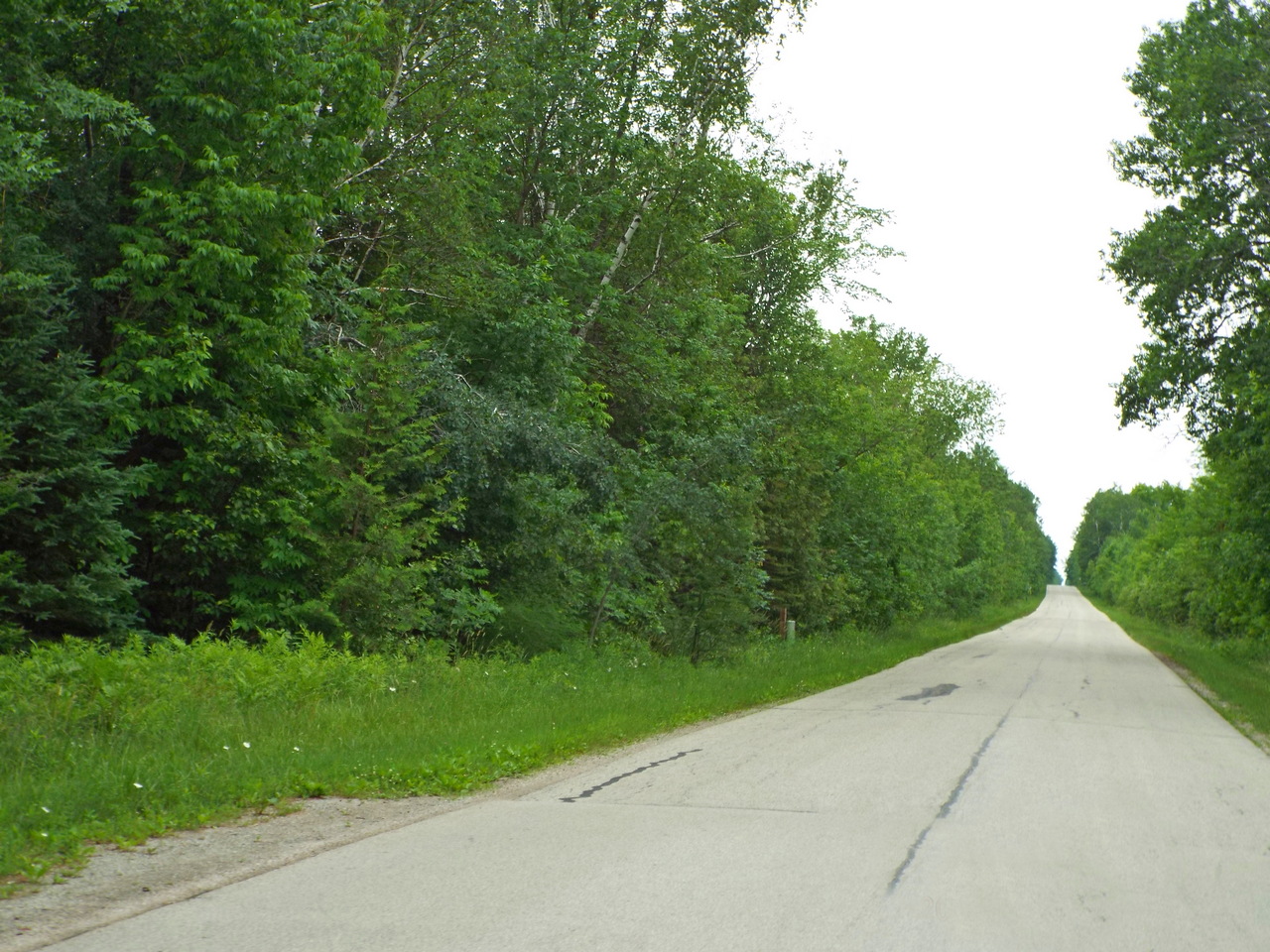Old Rail Road, Town of Wagner. BayView Real Estate Inc Land for