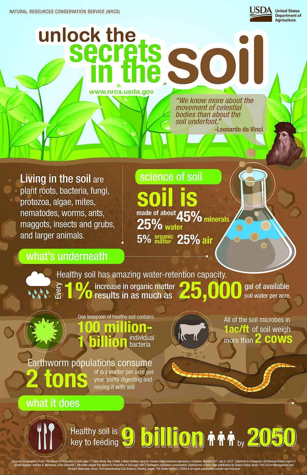 Your Soil Has Secrets Bay Weekly