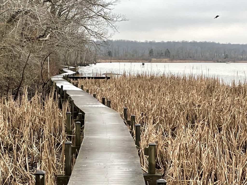 A Field Trip to Jug Bay Bay Weekly