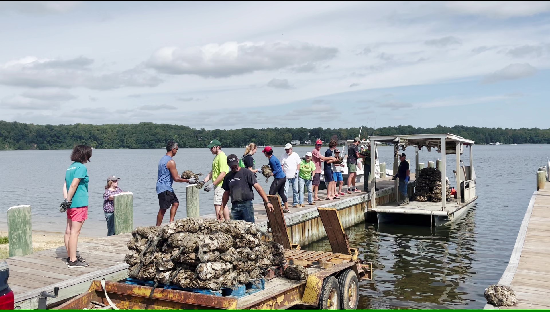 Volunteers Needed One Million Oysters For Breton Bay Bay Weekly