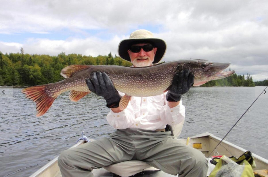 Shining Tree, North East Ontario Bay Wolf Camp