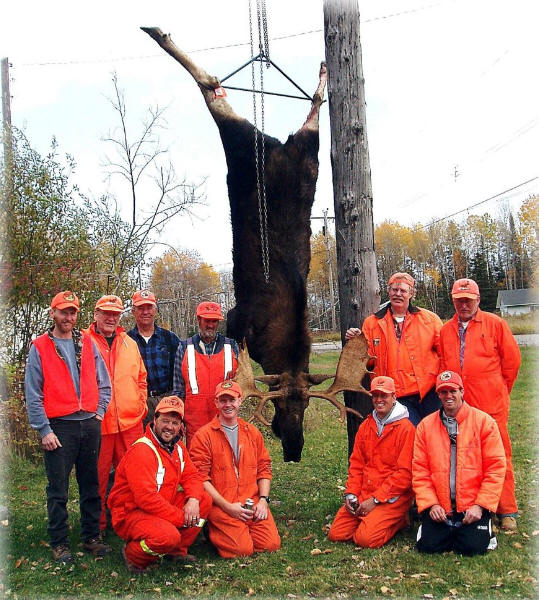 Shining Tree, North East Ontario Bay Wolf Camp
