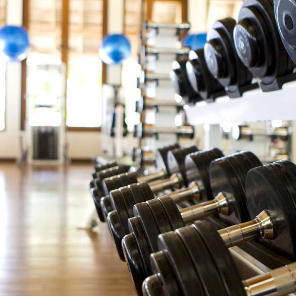 THE 6 TYPES OF GYM RATS bazaar.town