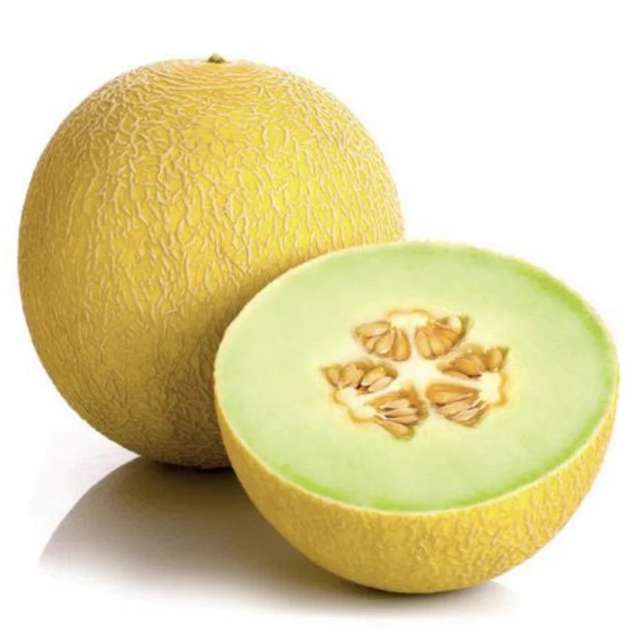 Melon galia 1szt Warzywa i owoce Czech&Czech