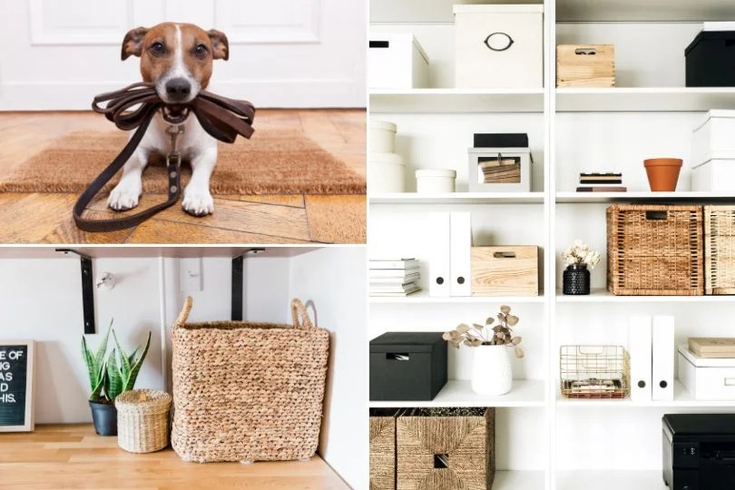 The Best PetFriendly Décor and Accessories for Your Home BAZIS