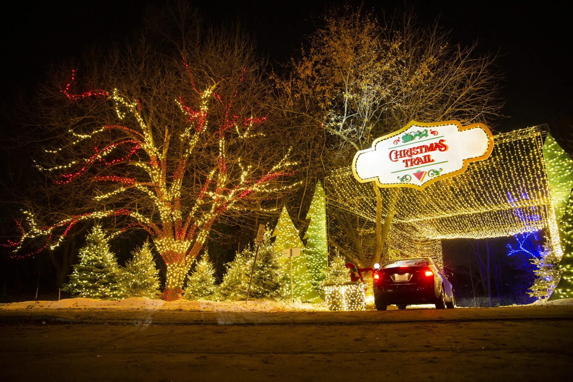 The 9 Best Holiday Events and Activities in Toronto BAZIS