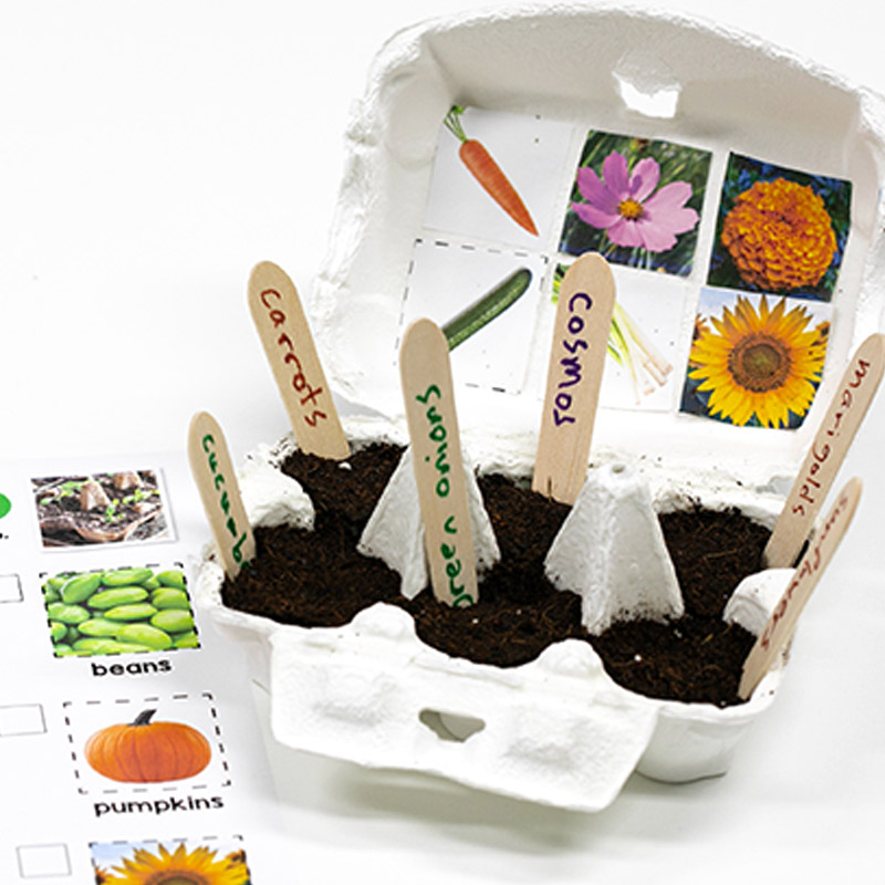 Egg Carton Gardens EFL/ESL STEAM Craft Kits for Kids