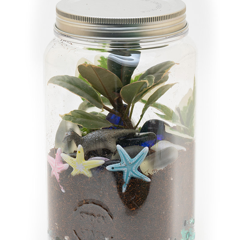 Terrarium Jar STEAM Kit EFL/ESL Kids Crafts
