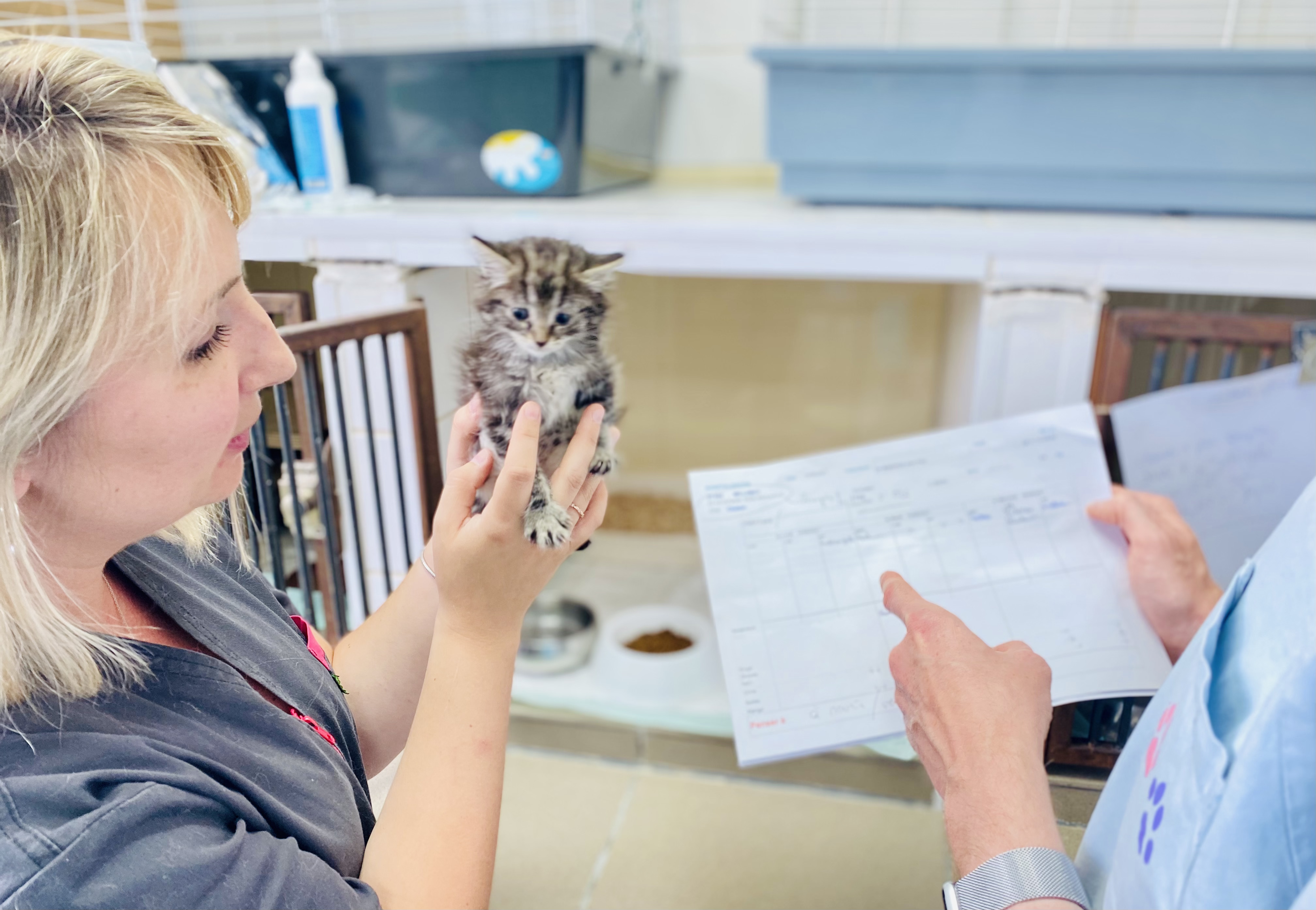 Clinique Vétérinaire Boniface, Balmer et Chiche