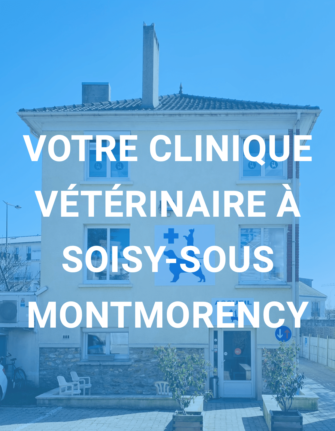 Clinique Vétérinaire Boniface, Balmer et Chiche