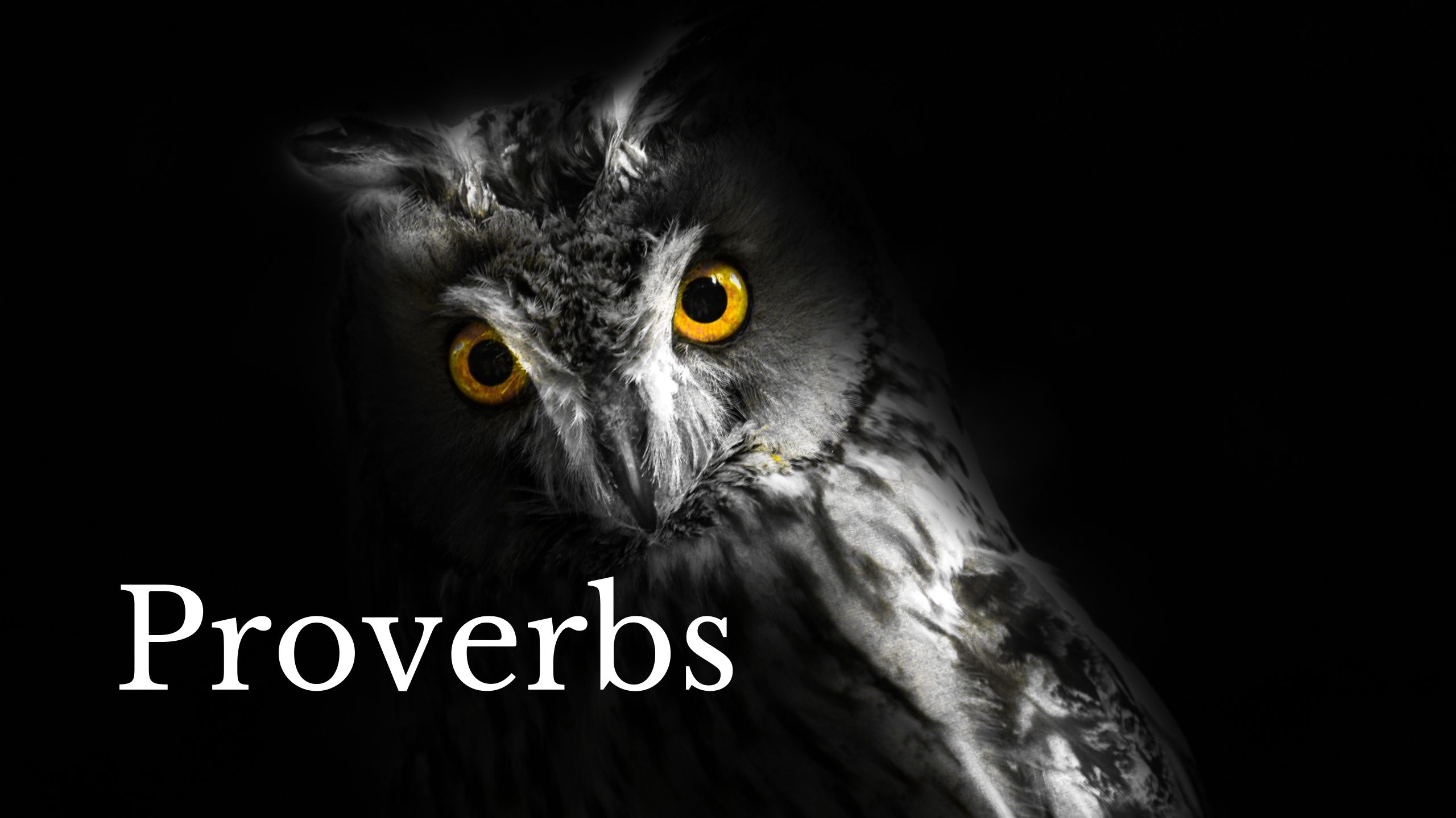 Sowing Discord (Proverbs 22) Bible Baptist Church