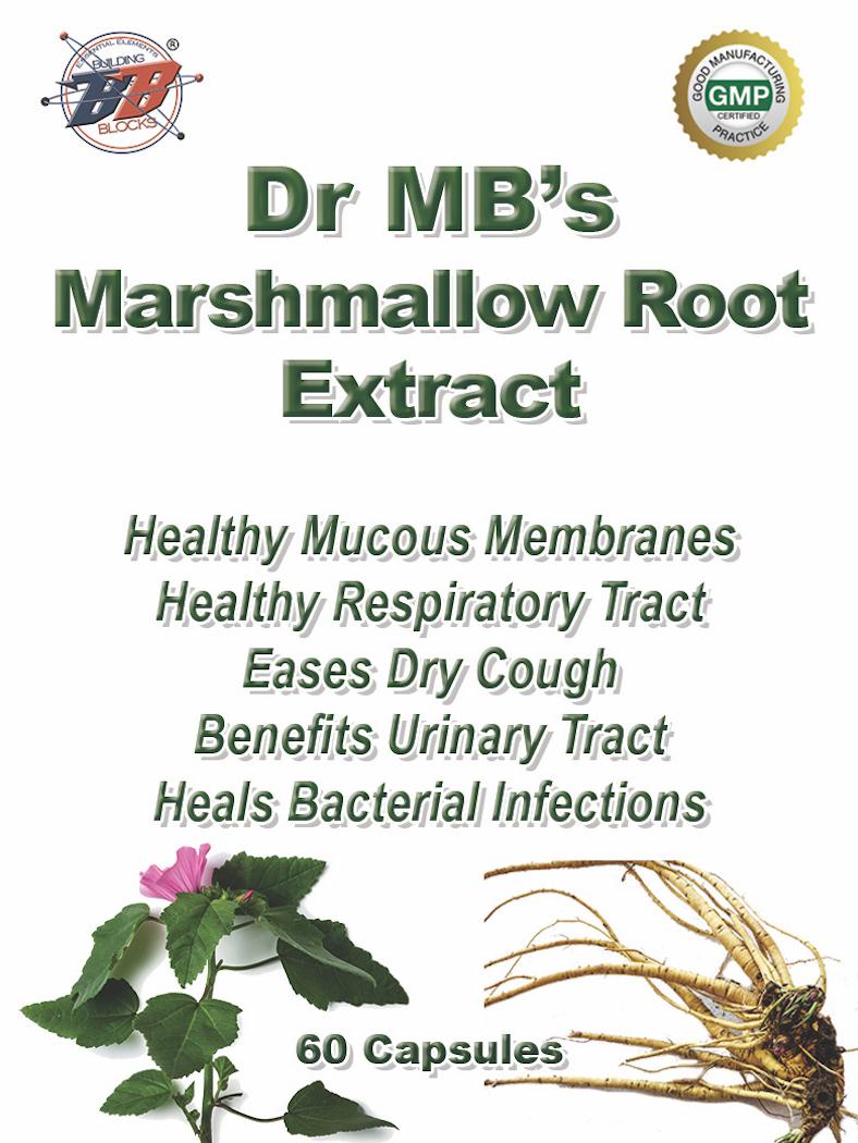 Get Inspired For Marshmallow Root Extract Benefits Photos