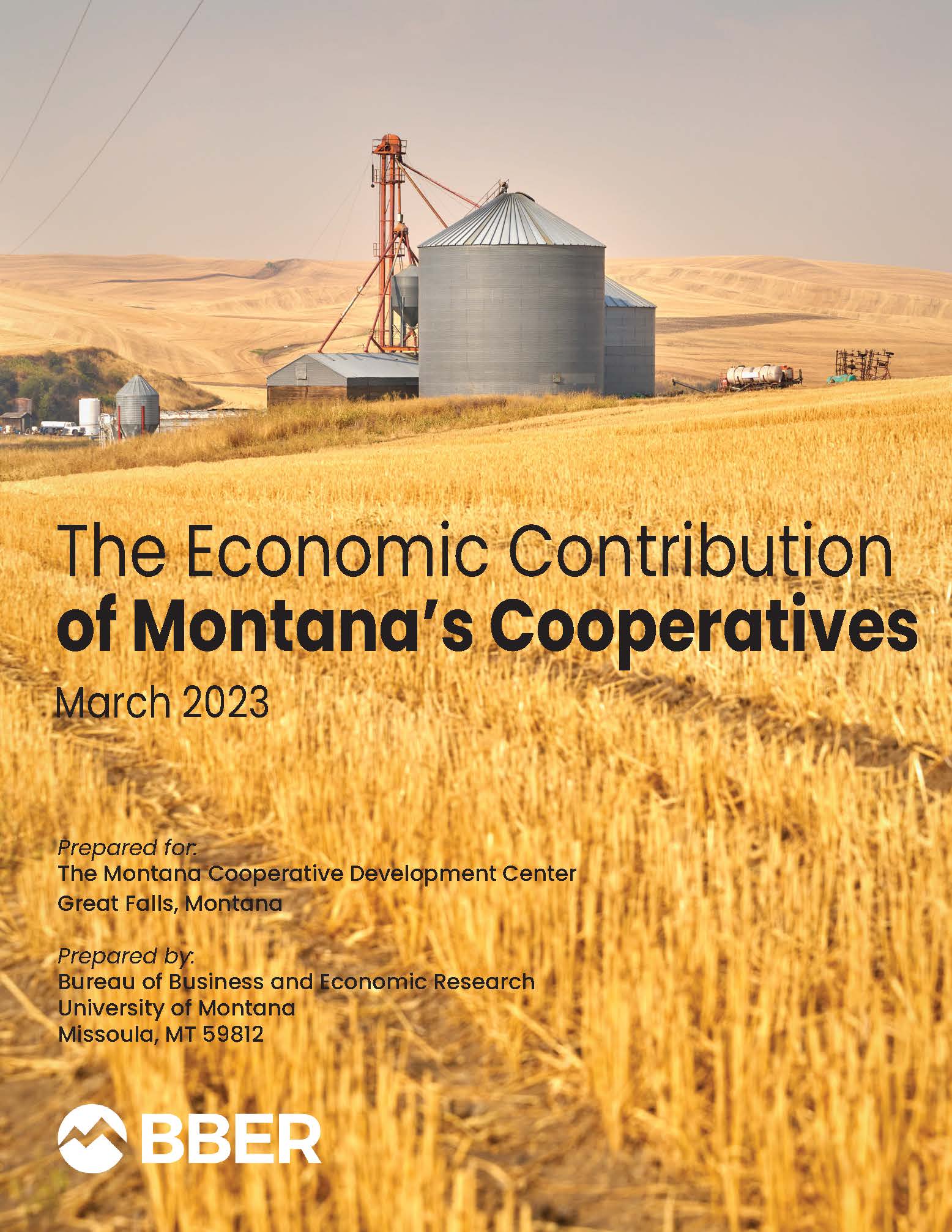 Bureau of Business and Economic Research, Economic Analysis, Impact Studies