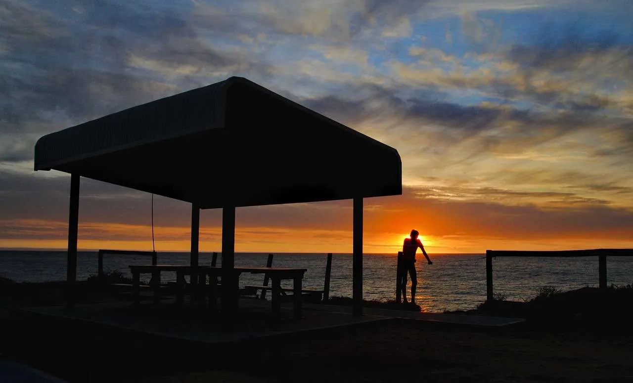 Things to Do in Bunbury in Summer book today and visit the dolphins
