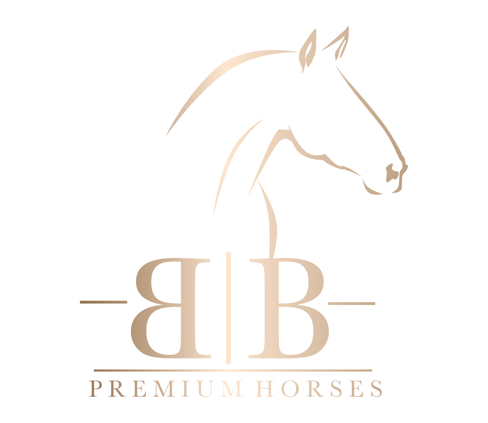 PRICELIST B B Premium Horses