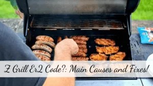 Z Grill Er2 Code?: Why It Happens & How to Fix It? – bbqblaze.com