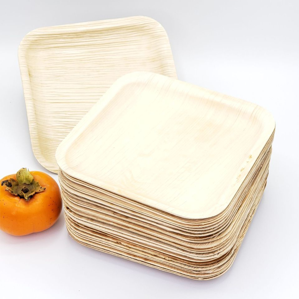 10" Palm Leaf Heavy Duty Disposable Plates Set of 25 BBQ Dragon