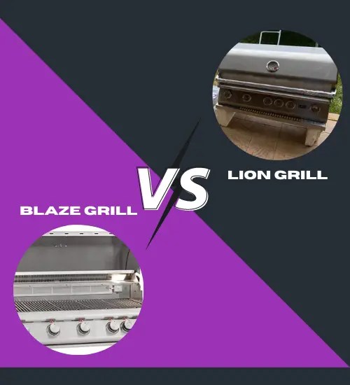 Lion vs Blaze Grill Which is the Best 5Burner Gas Grill for a Crowd?