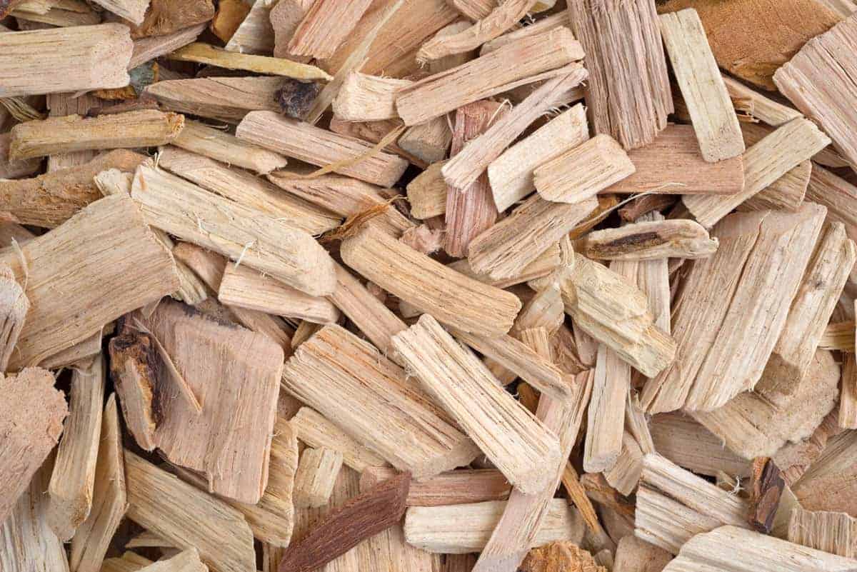 Hickory vs Mesquite All You Need To Know For Your Next BBQ