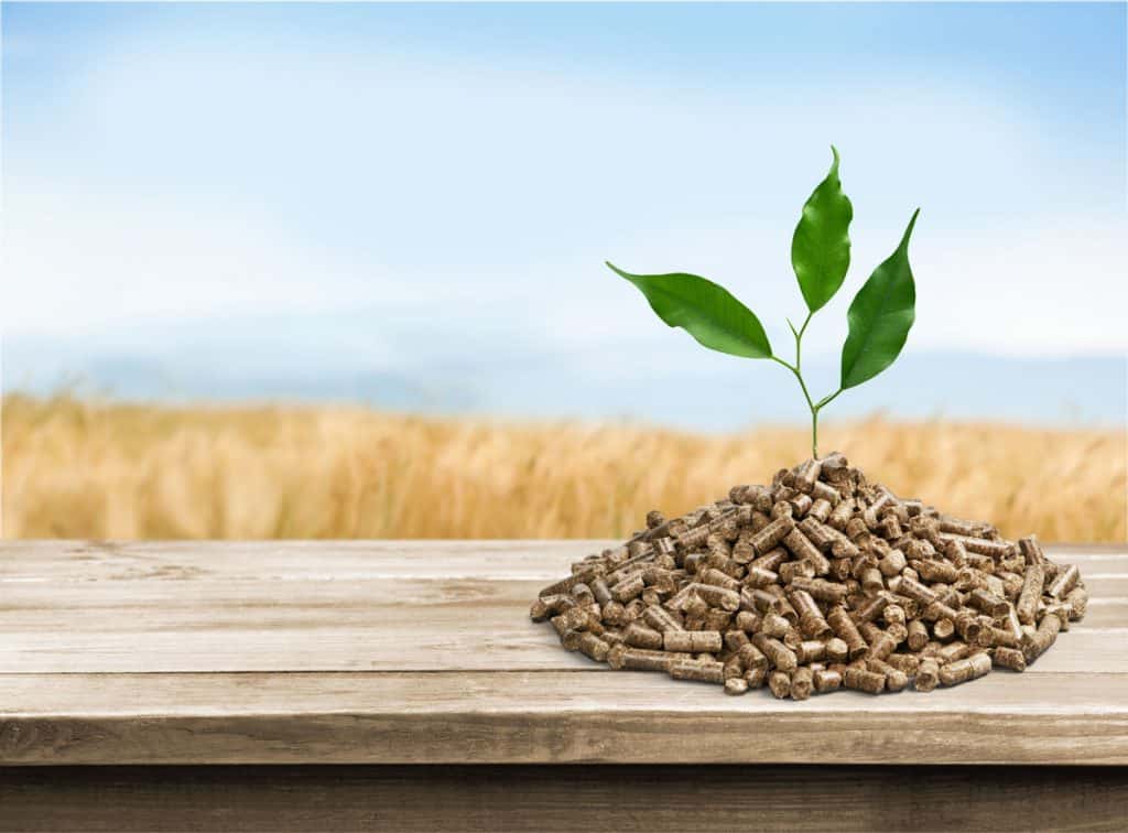 Traeger BBQ075: Does It Live Up To The Traeger Name?