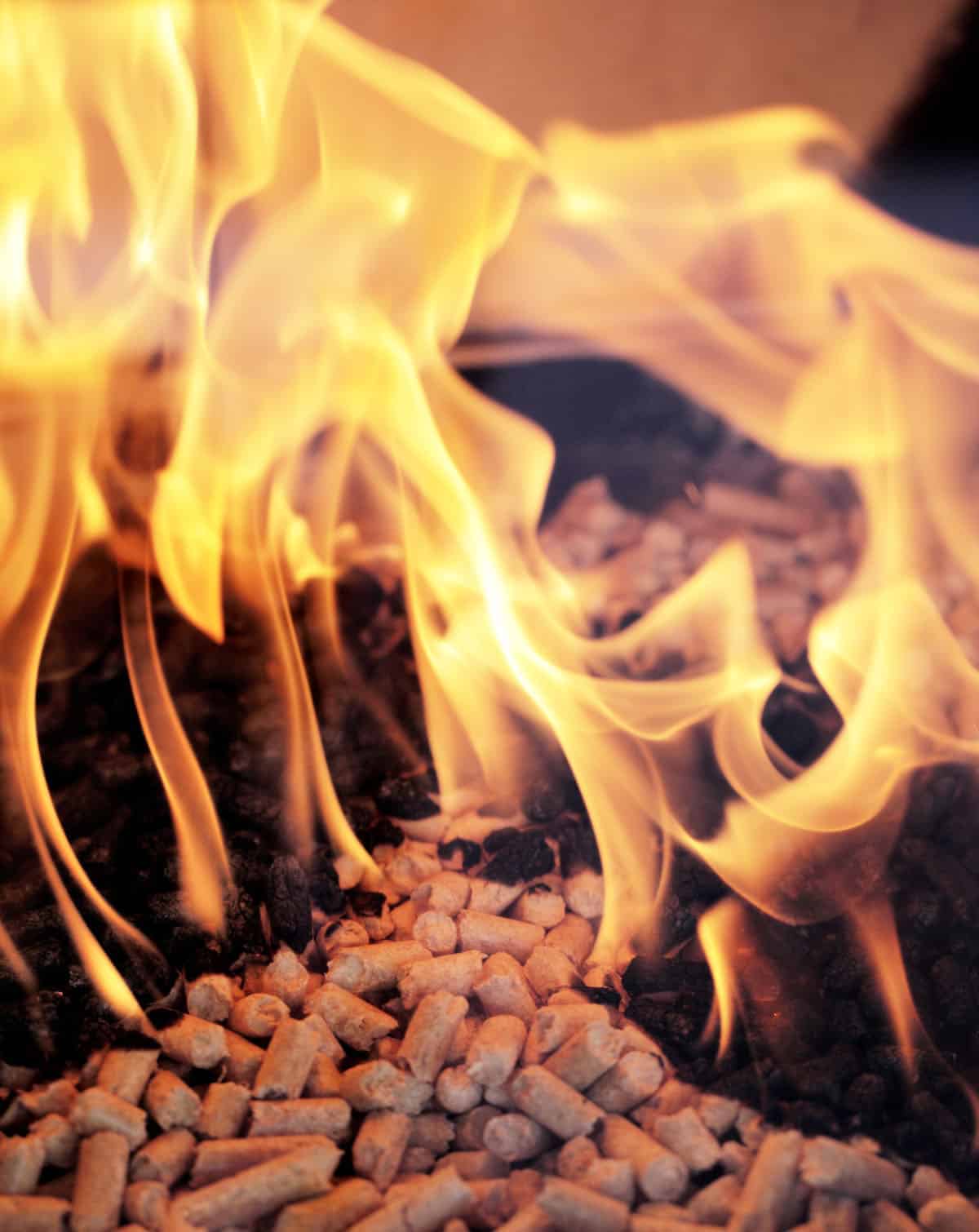 Are Wood Pellets Safe For Grilling?—And Related Topics