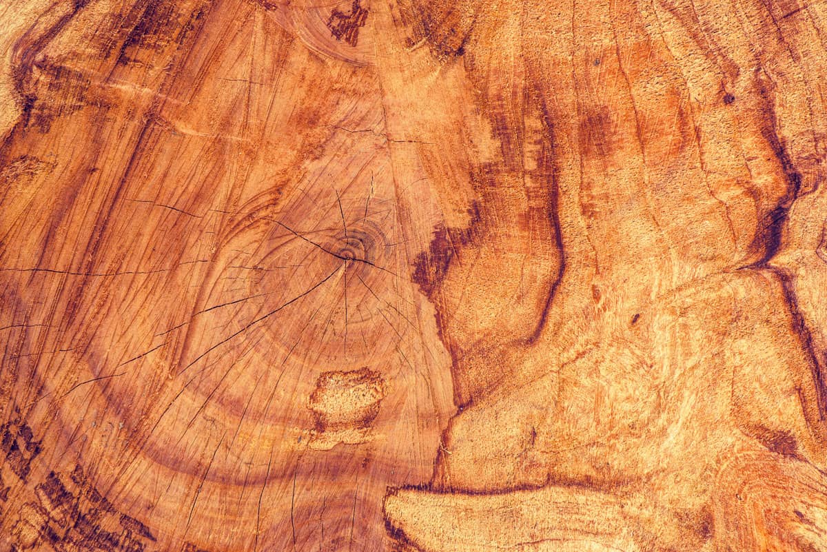 Ash Wood For Smoking From Branch To Coals to Ashes