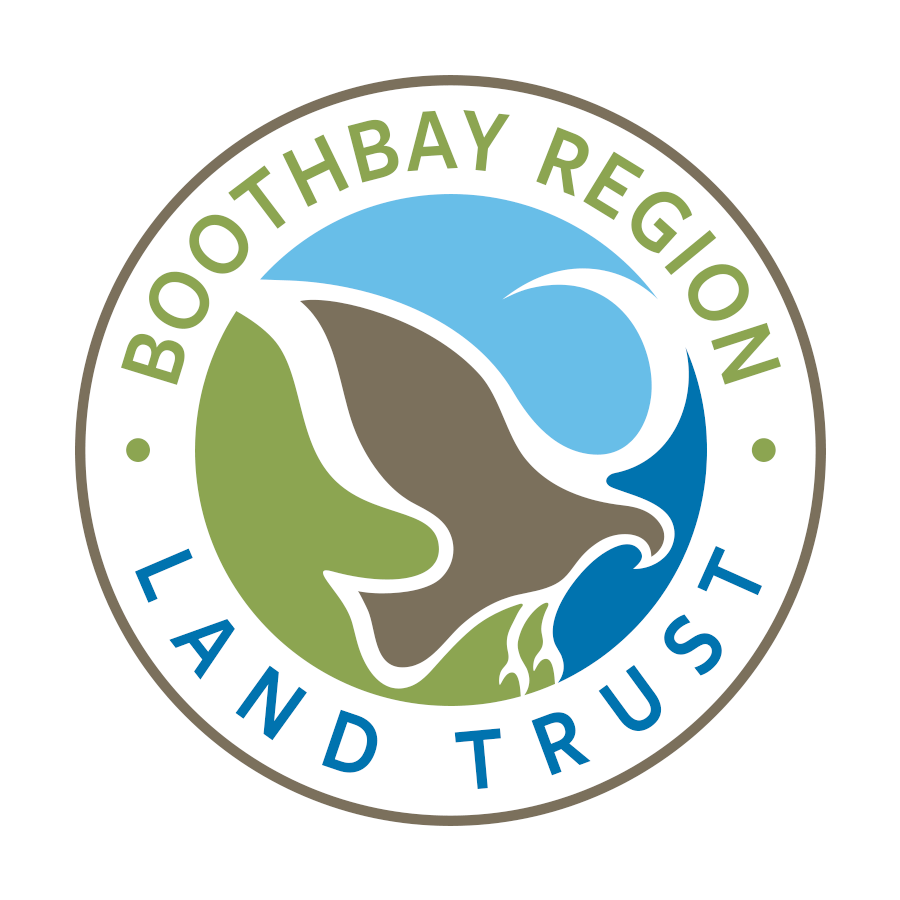 Trail Tuesday Lobster Cove Meadow Boothbay Region Land Trust