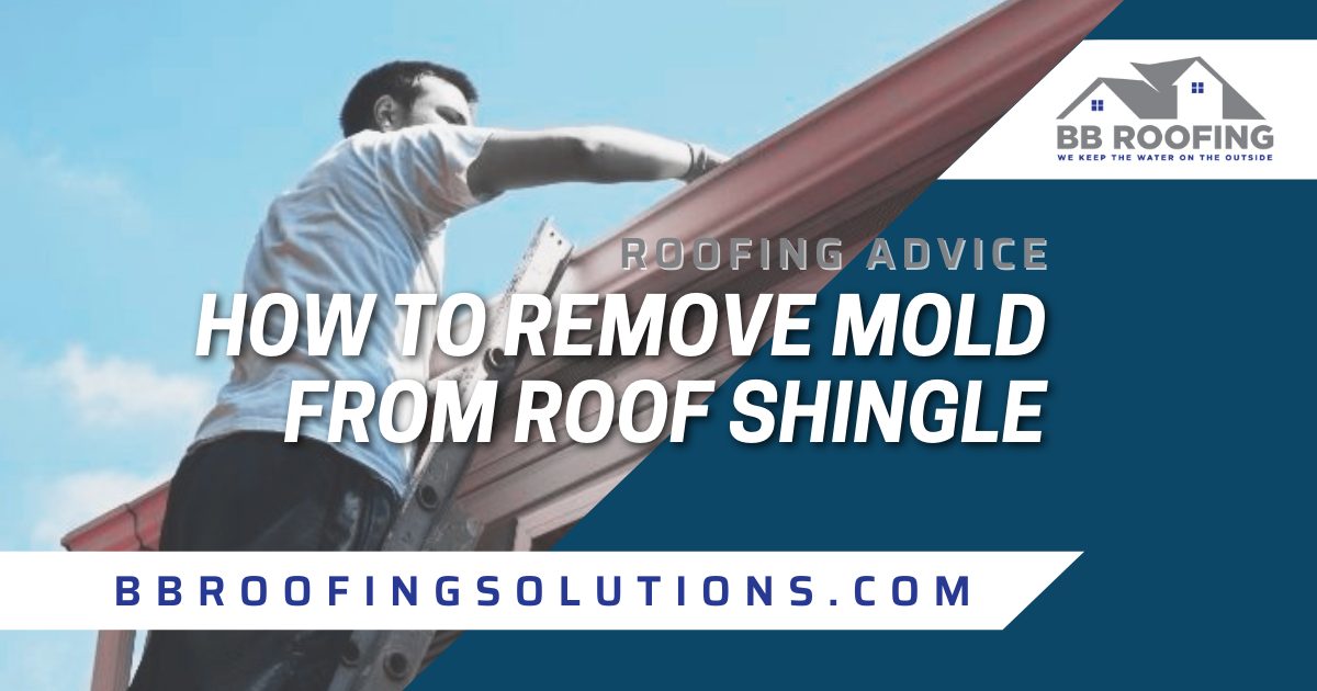 How to Remove Mold from Roof Shingles