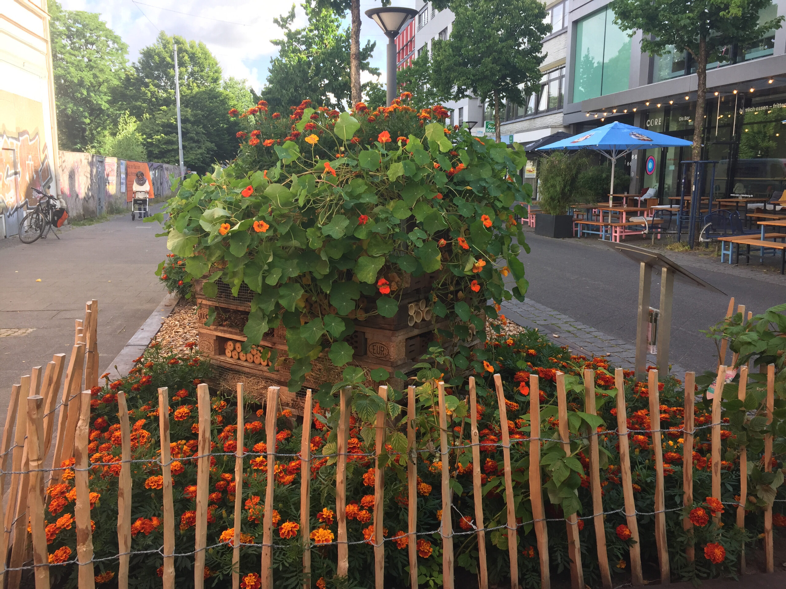 Der „Stadtgarten“ der BBS 3 Oldenburg 2022 BBS 3 Oldenburg