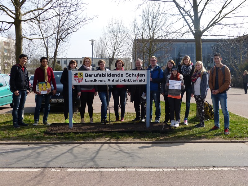 Aktion Sommerwiese Köthen wird blühen Berufsbildende Schulen Anhalt