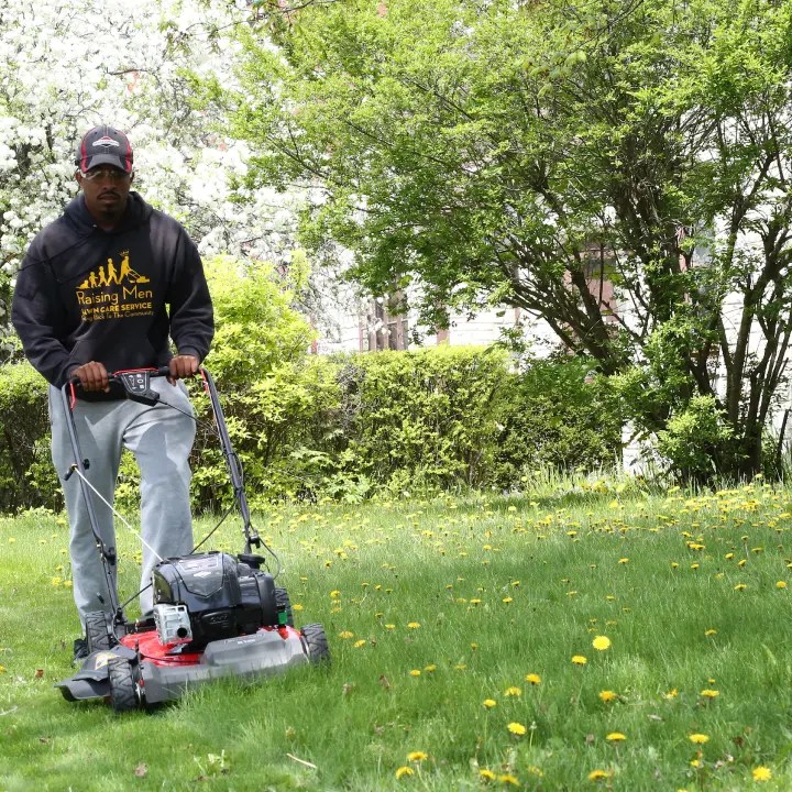 Lawn Maintenance BB’s Backyard & Beyond