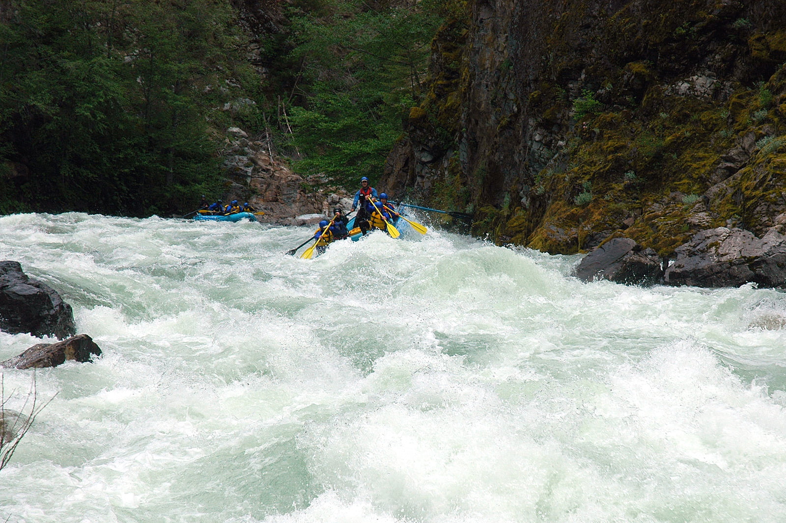 California Salmon Rafting Bio Bio Expeditions Adventure Travel Guides