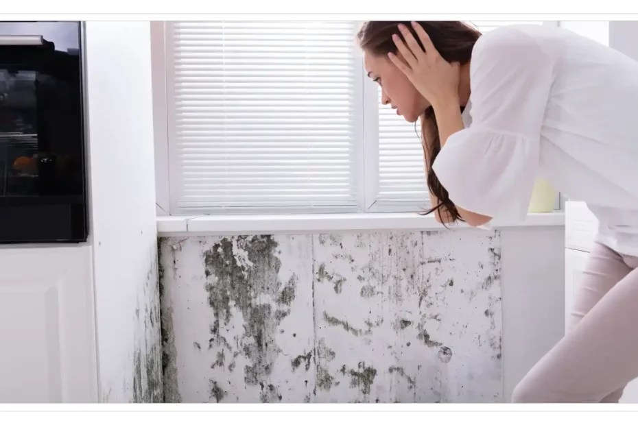 The Hidden Danger Lurking in Your Home Mold's Harmful Effects on(02)