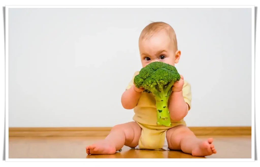 The StomachSaving Power of Broccoli How It Works bceducate