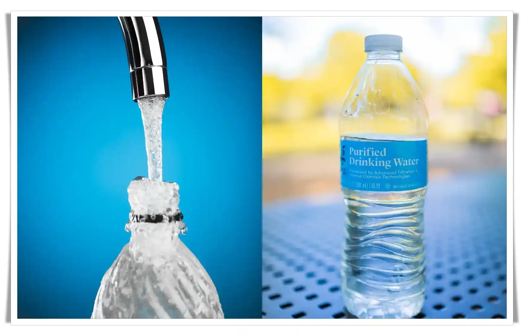 Unveiling the Truth Bottled vs. Tap Water Which Serves Your Health