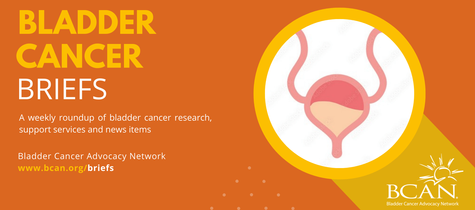 Bladder Cancer Briefs June 28, 2023 BCAN