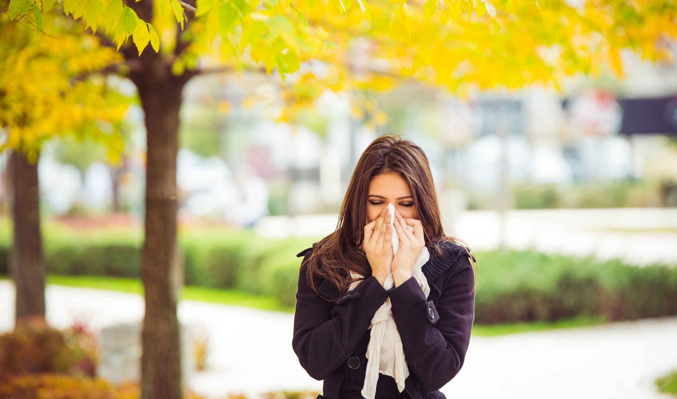 4 Tennessee Cities Named Fall Allergy Capitals BCBST News Center