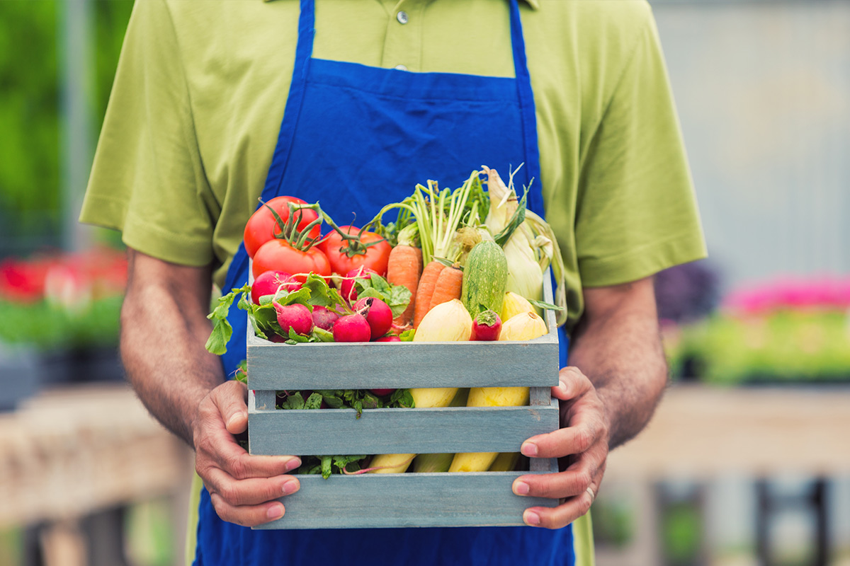 5 Facts About CommunitySupported Agriculture in Tennessee WellTuned