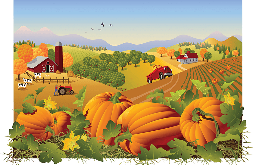 8 of the Best Pumpkin Patches in Tennessee WellTuned by BCBST