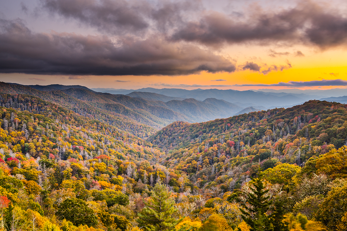Your Guide to Visiting the Smoky Mountains this Fall WellTuned by BCBST