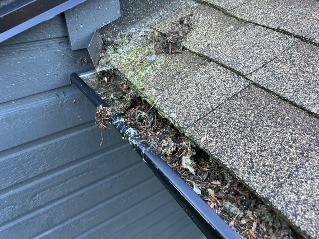 DO YOUR GUTTERS & DOWNPIPES A FAVOUR! BC Building Science BC Building