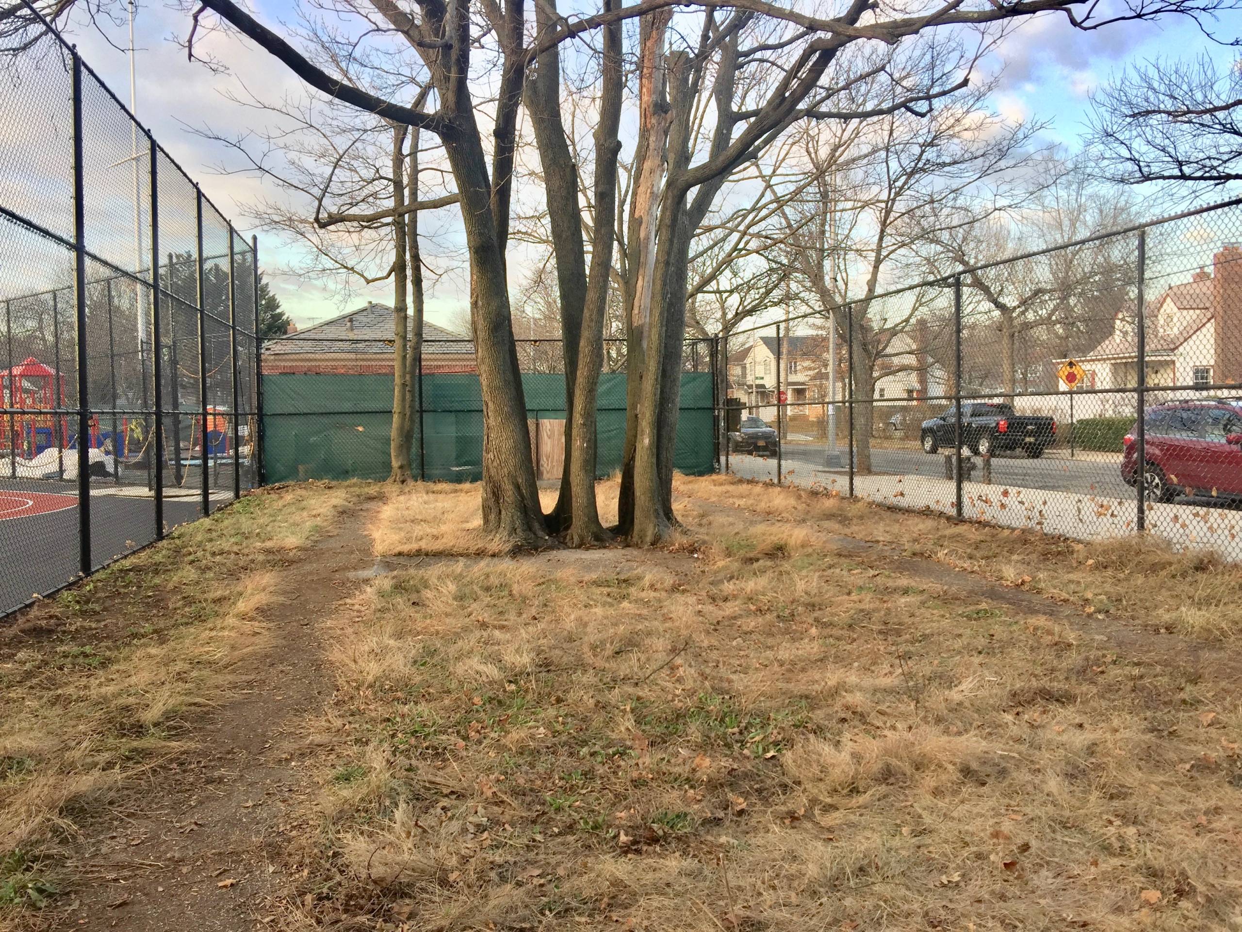 Reading Garden Scoping Meeting Bellerose Commonwealth Civic Association
