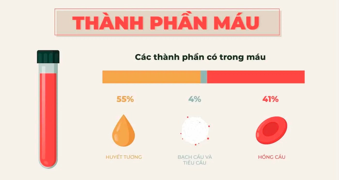 Chỉ số MCHC là gì? Ý nghĩa trong xét nghiệm máu