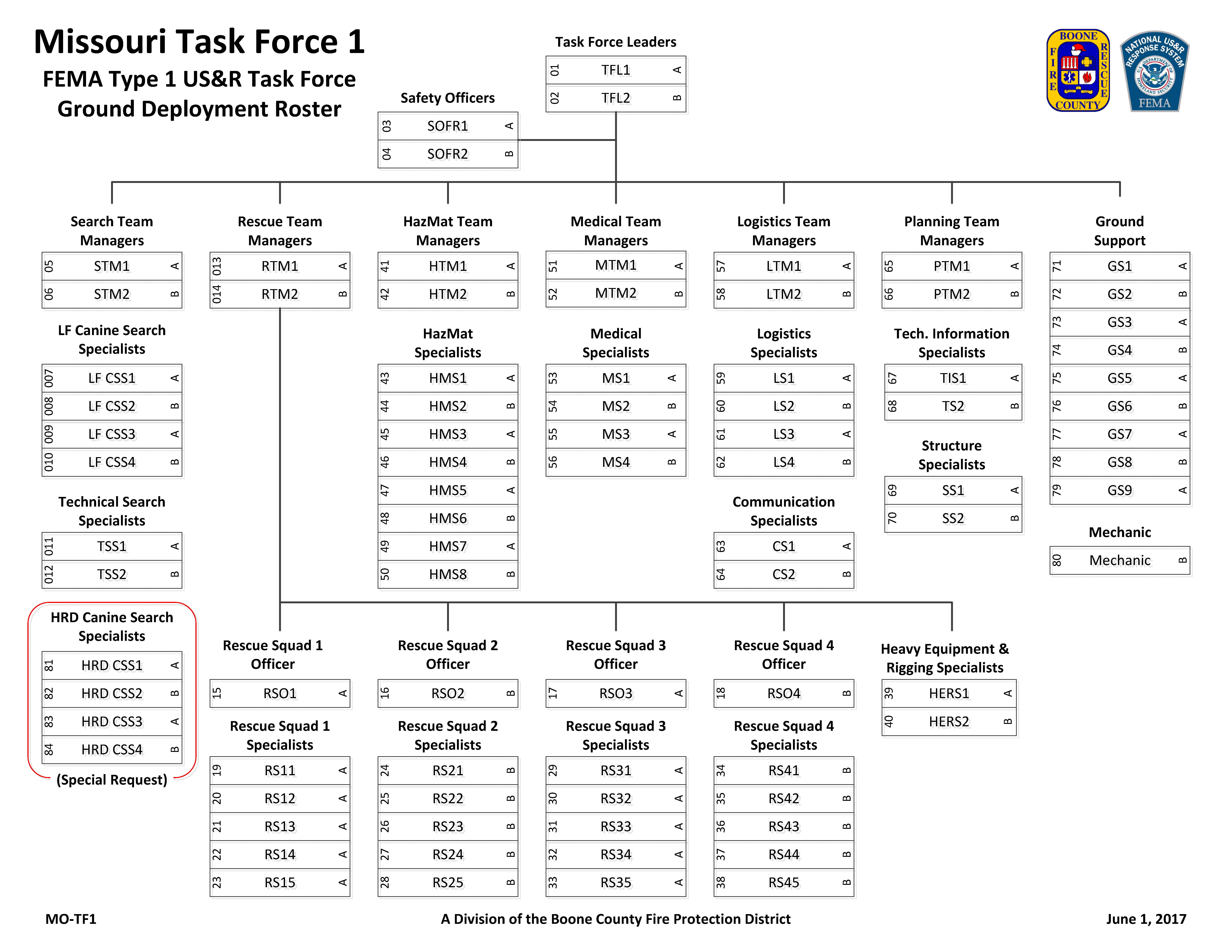 Task Force Structure