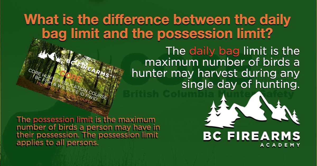 What is the difference between the daily bag limit and the possession