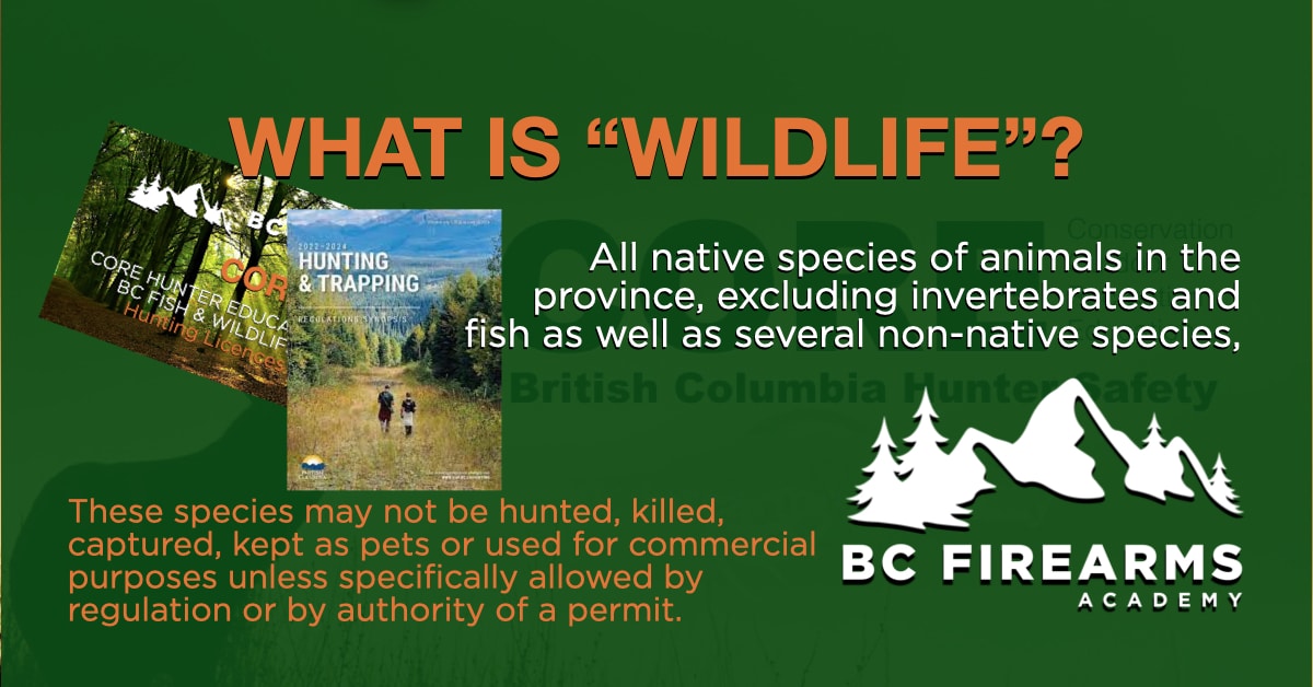 WHAT IS “WILDLIFE”? BC HUNTING BC Firearms Academy