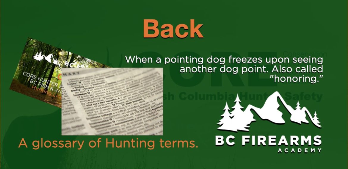 Back A glossary of Hunting terms BC Firearms Academy