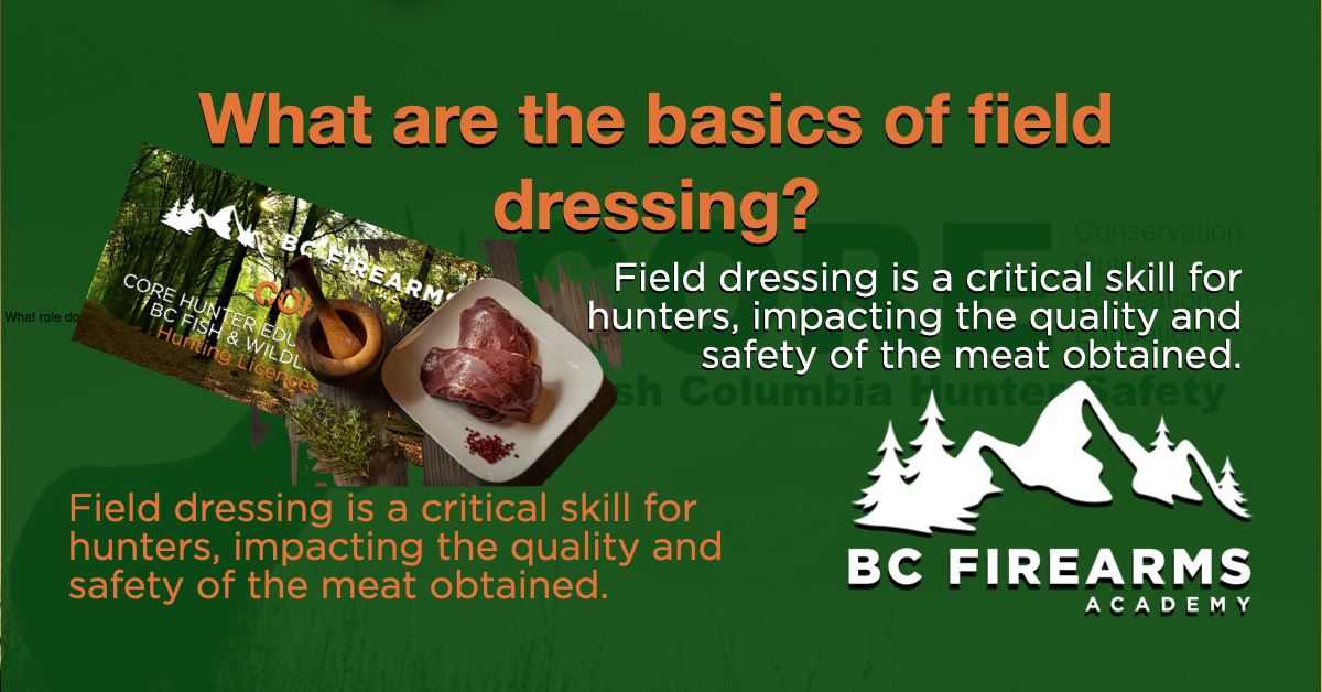 What are the basics of field dressing? BC Firearms Academy