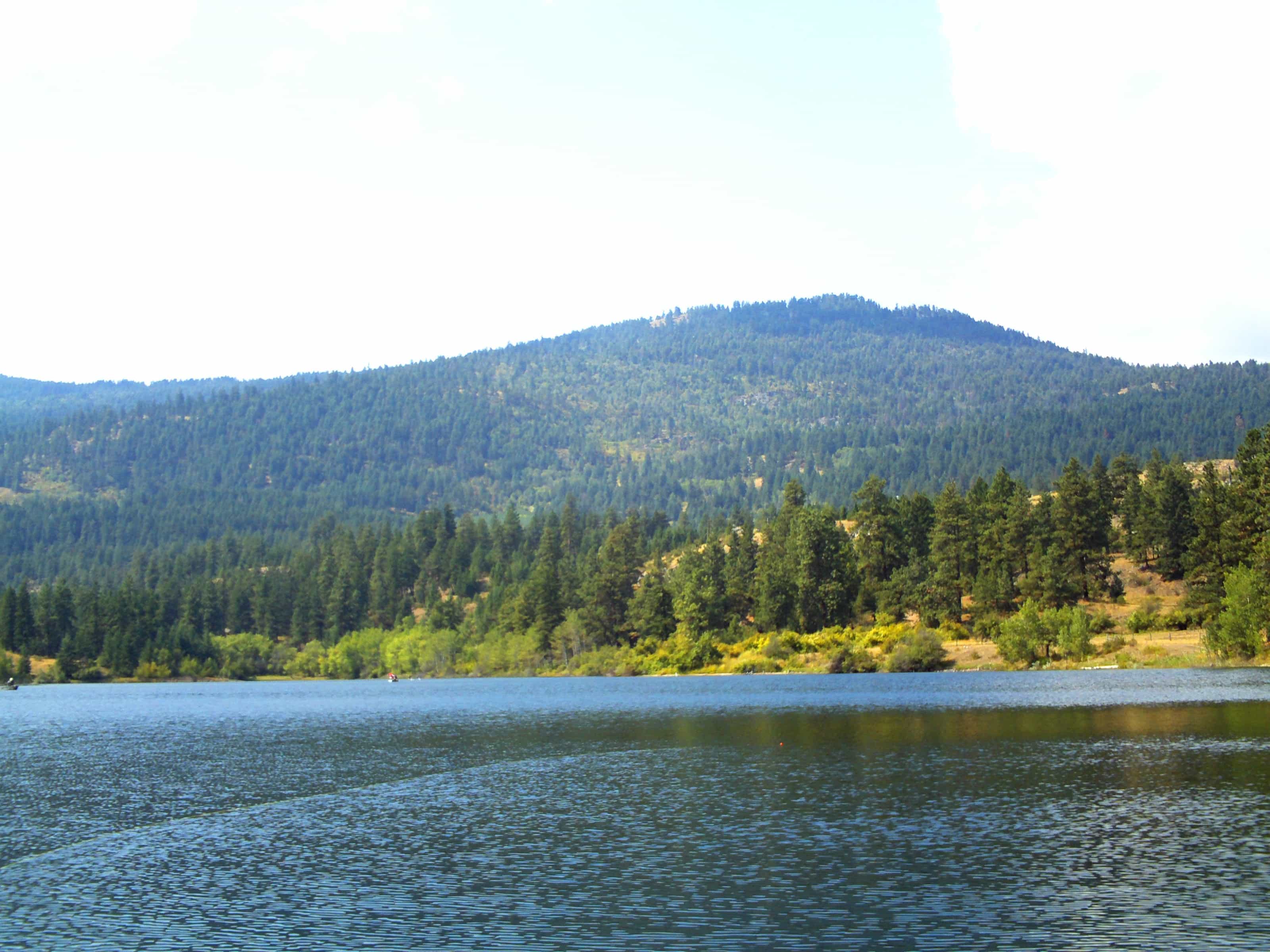 Fly Fishing Sawmill Lake (Burnell Lake) BC Fishn