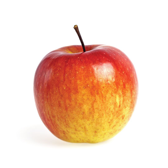 Our Products BCFoods